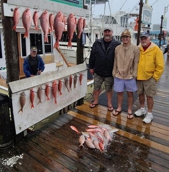 Red Snapper, Scup, Vermillion Snapper Fishing in Destin, Florida