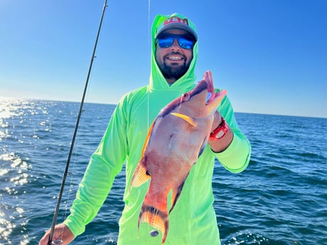 Hogfish Fishing in Holmes Beach, Florida