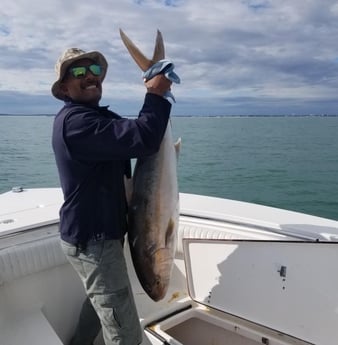 Amberjack Fishing in Wrightsville Beach, North Carolina