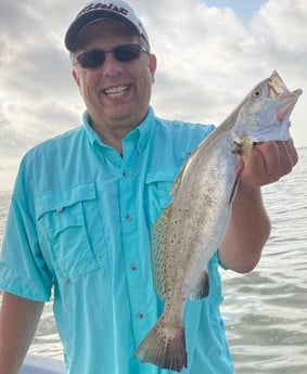 Speckled Trout / Spotted Seatrout fishing in Galveston, Texas