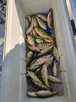 Fishing in Lakeside Marblehead, Ohio