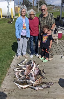 Black Drum, Redfish, Sheepshead, Speckled Trout / Spotted Seatrout Fishing in Sulphur, Louisiana