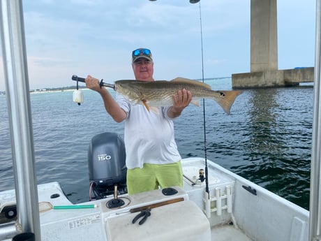 Redfish fishing in Orange Beach, Alabama