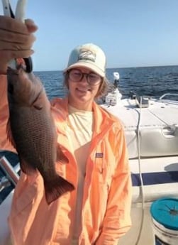 Mangrove Snapper Fishing in Clearwater, Florida