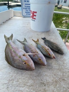 Fishing in Key West, Florida