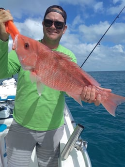 Red Snapper fishing in Clearwater, Florida