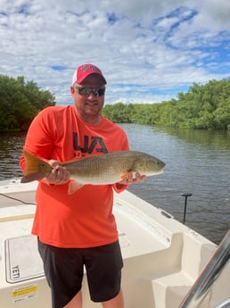 Gag Grouper fishing in St. Petersburg, Florida