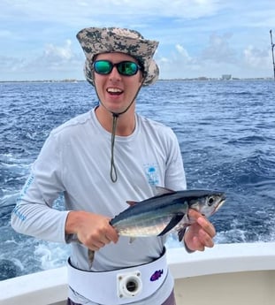 Blackfin Tuna Fishing in Pompano Beach, Florida