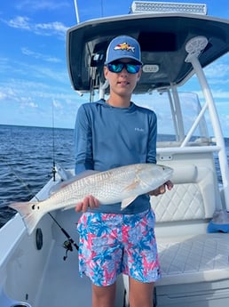 Redfish Fishing in Key West, Florida