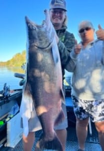 Chinook Salmon Fishing in Anderson, California