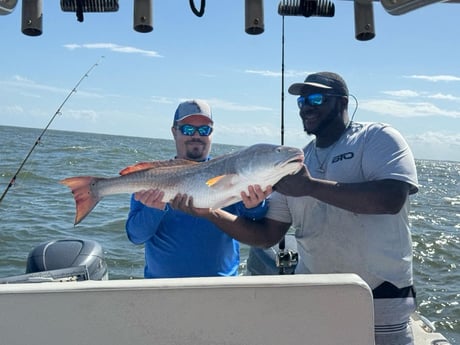 Fishing in Fernandina Beach, Florida