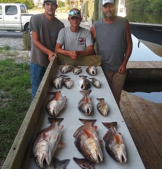 Redfish fishing in Saint Bernard, Louisiana