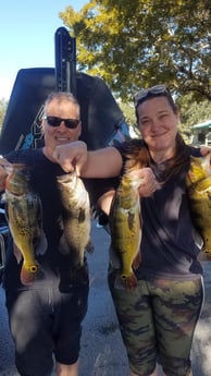 Largemouth Bass, Peacock Bass Fishing in Fort Lauderdale, Florida