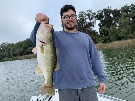 Largemouth Bass fishing in Clearwater, Florida