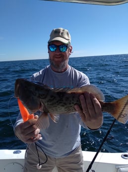 Gag Grouper fishing in Clearwater, Florida