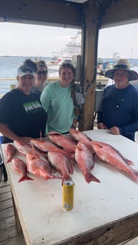 Red Snapper Fishing in Pensacola, Florida