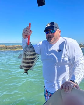 Sheepshead fishing in Galveston, Texas