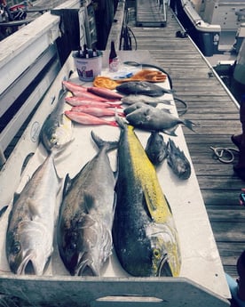 Amberjack, Black Marlin, Mahi Mahi, Triggerfish Fishing in North Charleston, South Carolina