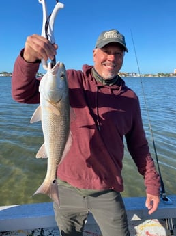 Redfish fishing in St. Petersburg, Florida