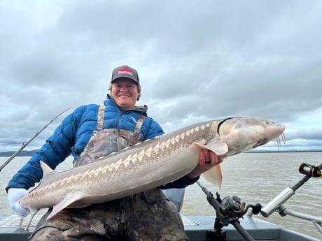 Sturgeon Fishing in Anderson, California