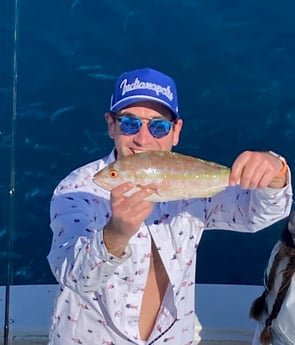 Yellowtail Snapper fishing in Marathon, Florida