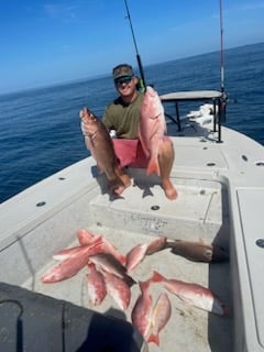 Mangrove Snapper, Red Snapper Fishing in Shell Beach, Louisiana