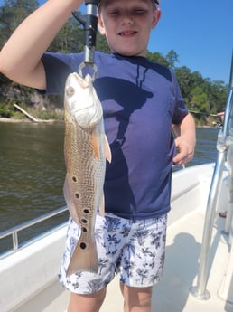 Redfish Fishing in Santa Rosa Beach, Florida