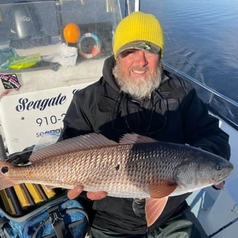 Redfish Fishing in Trails End Road, Wilmington, N, North Carolina