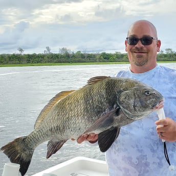 Black Drum fishing in Mount Pleasant, South Carolina