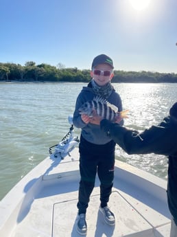 Goliath Grouper fishing in Naples, Florida