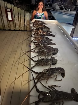 Lobster fishing in Fort Lauderdale, Florida