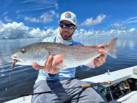 Fishing in Miami, Florida