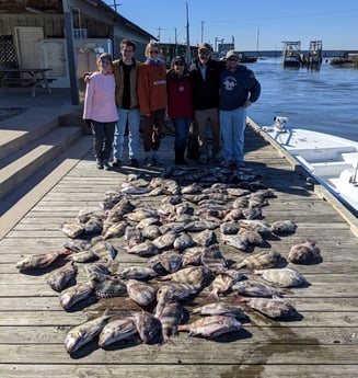 Sheepshead Fishing in Sulphur, Louisiana