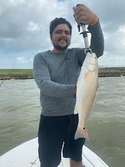 Redfish Fishing in Galveston, Texas