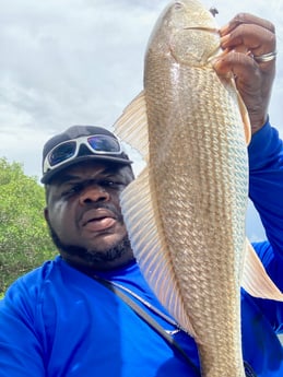 Redfish fishing in St. Petersburg, Florida