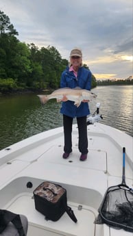 Redfish Fishing in Gulf Shores, Alabama