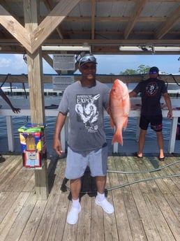 Red Snapper Fishing in Orange Beach, Alabama