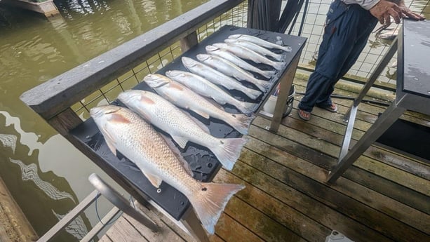 Fishing in Galveston, Texas