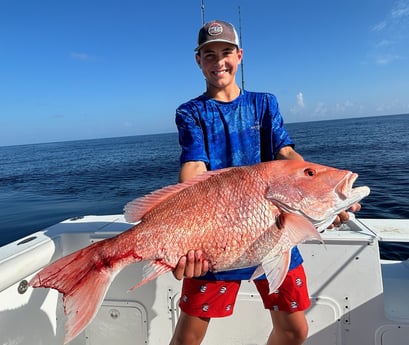 Red Snapper Fishing in Bay Pines, Florida, USA