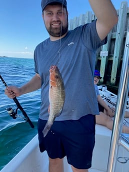 Gag Grouper fishing in St. Petersburg, Florida