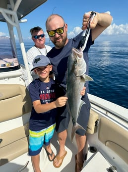 Amberjack Fishing in Niceville, Florida