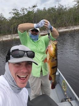 Peacock Bass fishing in South Padre Island, Texas