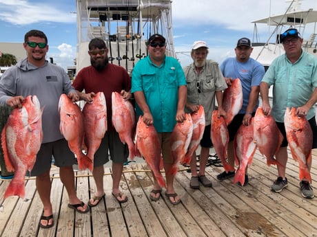 Red Snapper fishing in Dauphin Island, Alabama