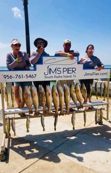 Speckled Trout / Spotted Seatrout fishing in South Padre Island, Texas