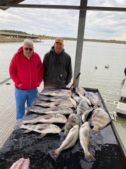 Black Drum, Speckled Trout Fishing in Galveston, Texas