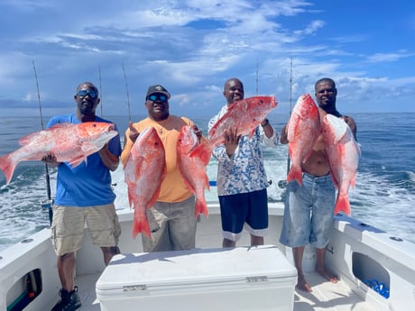 Red Snapper fishing in Biloxi, Massachusetts