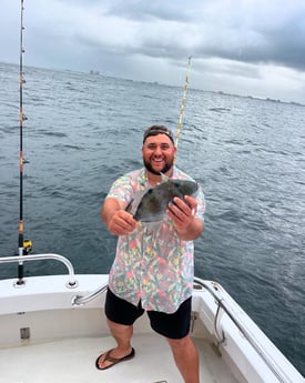 Triggerfish Fishing in Destin, Florida