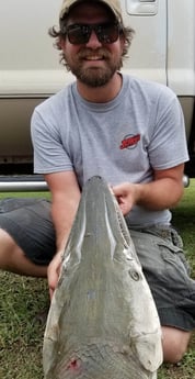 Alligator Gar fishing in Livingston, Texas