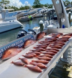 Red Snapper fishing in Destin, Florida