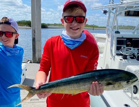 Mahi Mahi / Dorado fishing in Port Orange, Florida